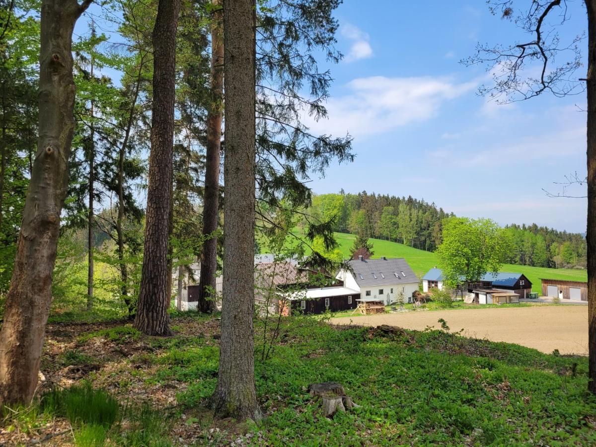 Ruhig Gelegene, Top Moderne Ferienwohnung - Hot Tub Und Sauna Gegen Aufpreis Neuhaus an Der Eger Екстериор снимка