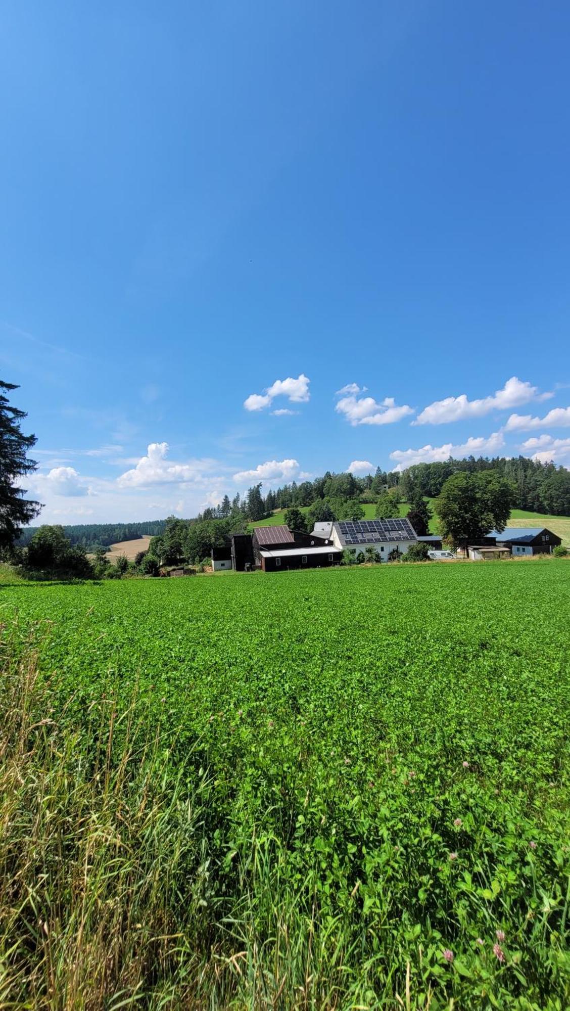 Ruhig Gelegene, Top Moderne Ferienwohnung - Hot Tub Und Sauna Gegen Aufpreis Neuhaus an Der Eger Екстериор снимка